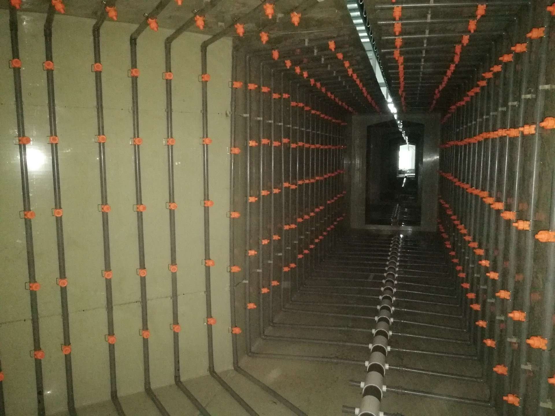 1650859133152404.jpg